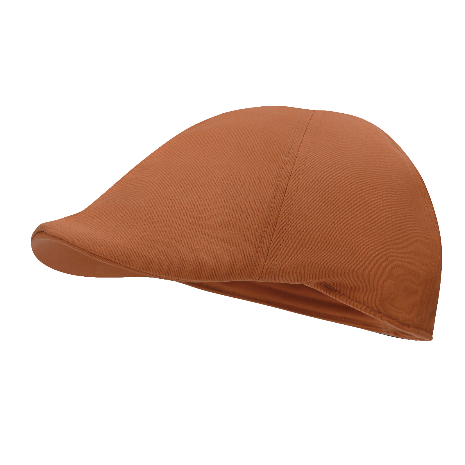 STARANCE Men's Classic Cotton  - Newsboy Cap Ivy review and price