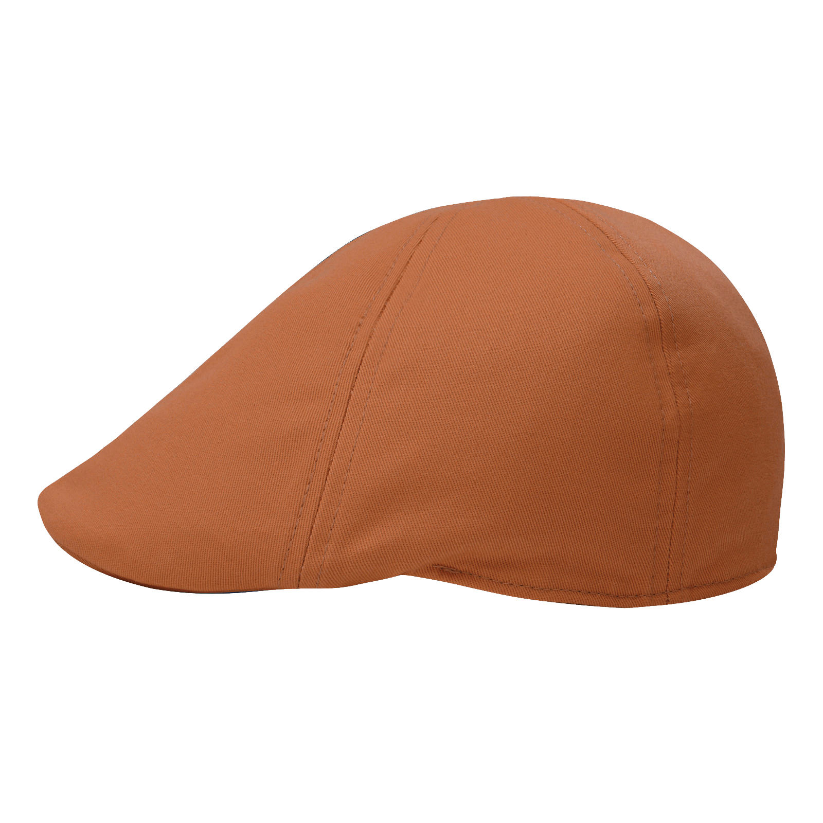 STARANCE Men's Classic Cotton  - Newsboy Cap Ivy review and price
